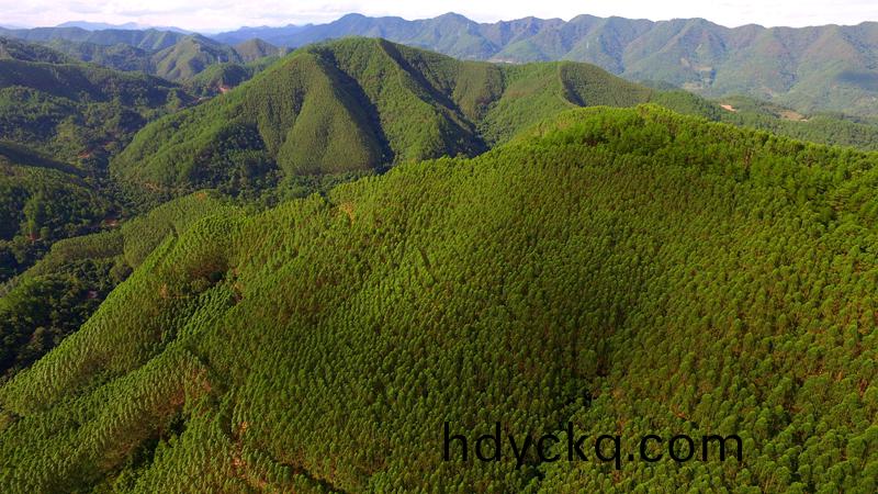 林(lin)地